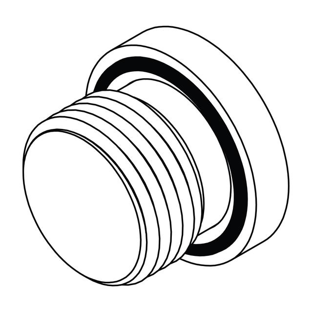 BSPP Hollow Hex Plug
