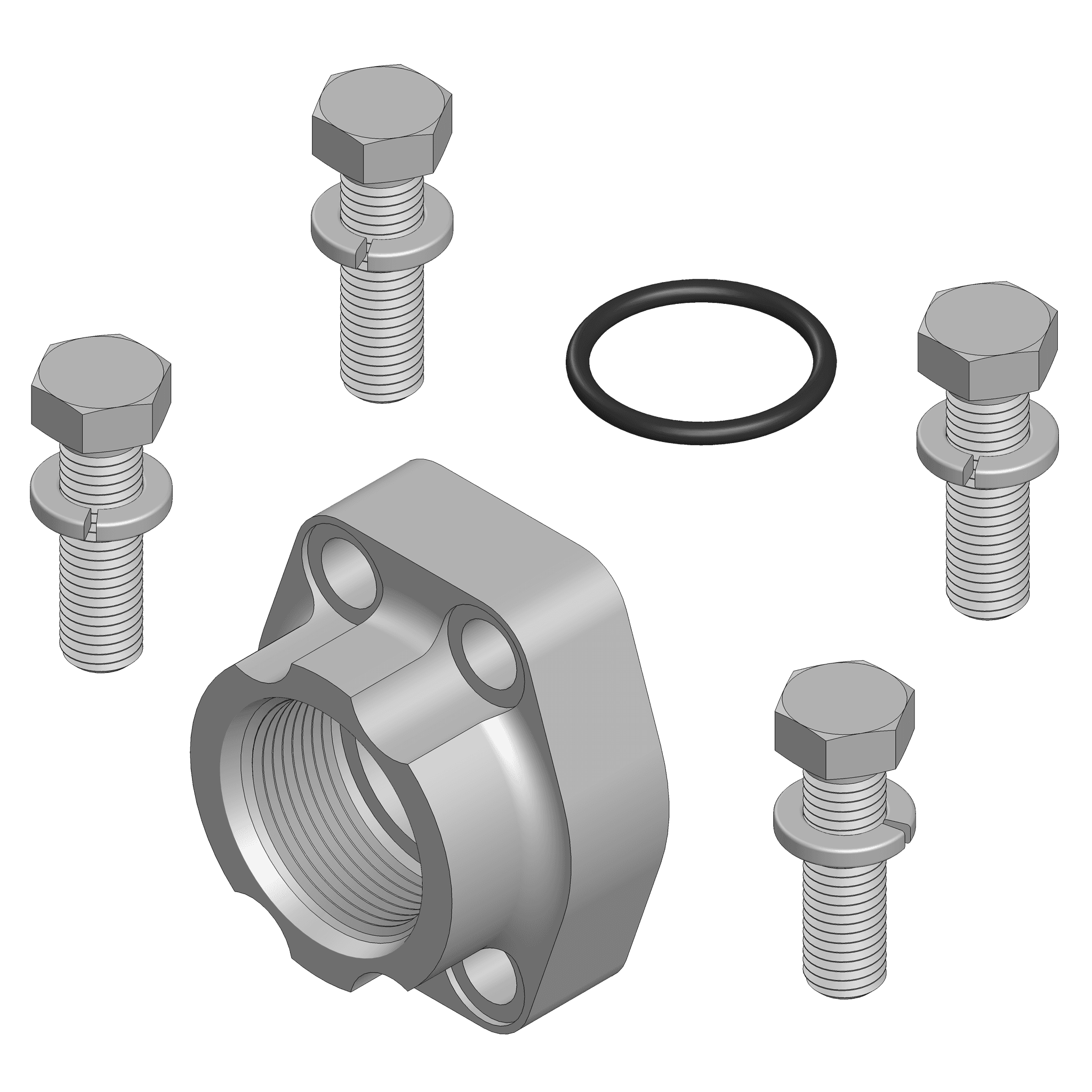 O-Ring Flange Pad - Code 62