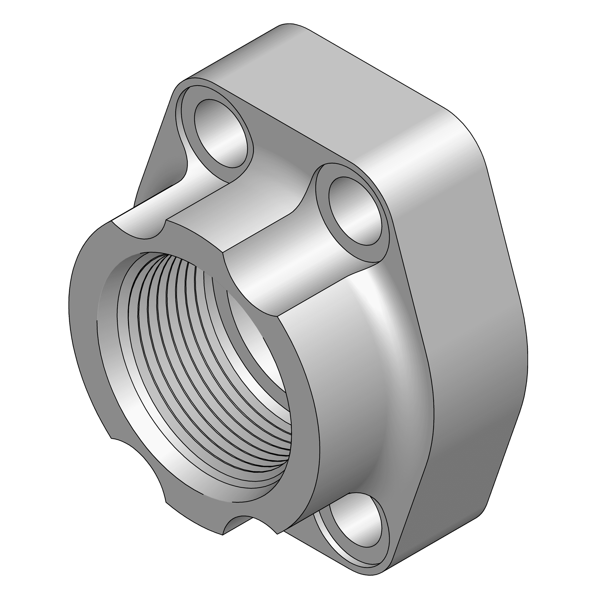 O-Ring Companion Flange Pad - Code 62